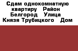 Сдам однокомнатную квартиру › Район ­ Белгород › Улица ­ Князя Трубицкого › Дом ­ 39 › Этажность дома ­ 3 › Цена ­ 9 000 - Белгородская обл. Недвижимость » Квартиры аренда   . Белгородская обл.